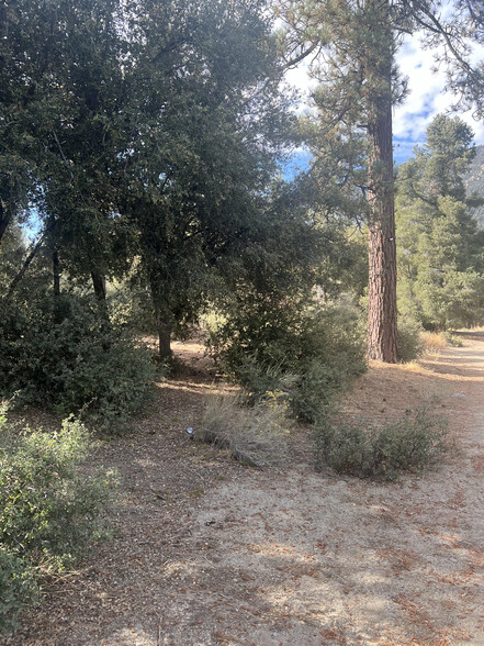 2417 Freeman Dr, Pine Mountain Club, CA en venta - Foto del edificio - Imagen 2 de 3