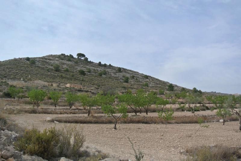 Terreno en Jumilla, Murcia en venta Vista aérea- Imagen 1 de 16