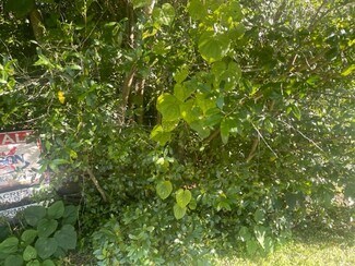 Más detalles de 0 Aldington Dr, Jacksonville, FL - Terreno en venta