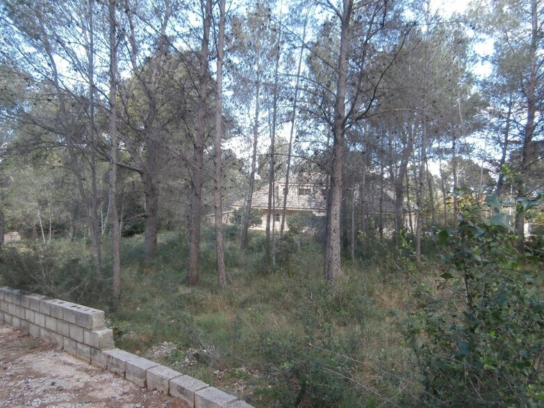 Planta, 118, Alzira, Valencia en venta - Foto del edificio - Imagen 3 de 3