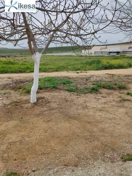 Terreno en Burguillos, Sevilla en venta - Foto del edificio - Imagen 3 de 21