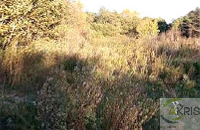 Más detalles de Terreno en venta