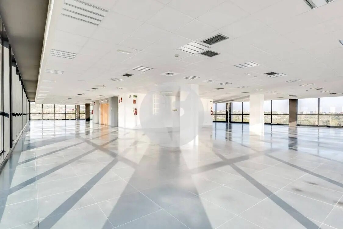 Oficina en Sant Cugat del Vallès, Barcelona en alquiler Plano de la planta- Imagen 1 de 2