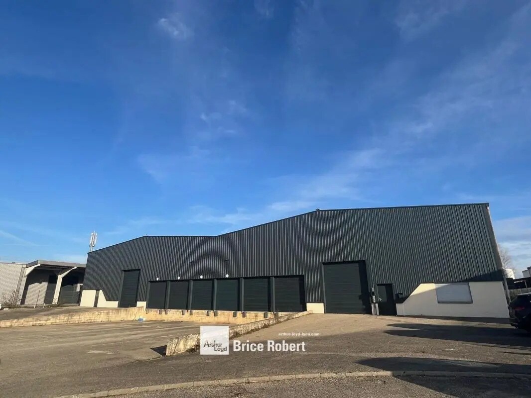 9 Avenue Du Maréchal De Lattre De Tassigny, Meyzieu en alquiler Foto del edificio- Imagen 1 de 8