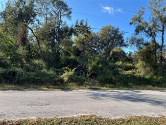 Más detalles para County Road 690, Webster, FL - Terrenos en venta