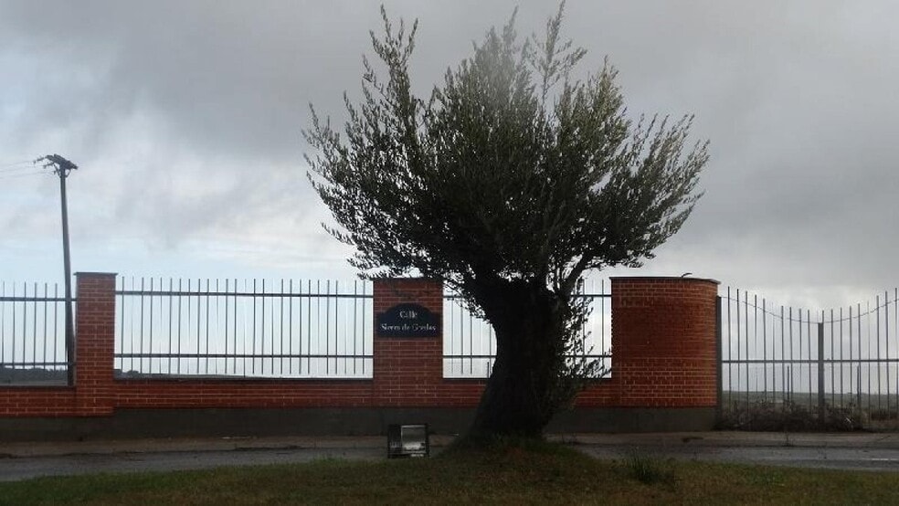 Terreno en Salamanca en venta - Foto del edificio - Imagen 3 de 3