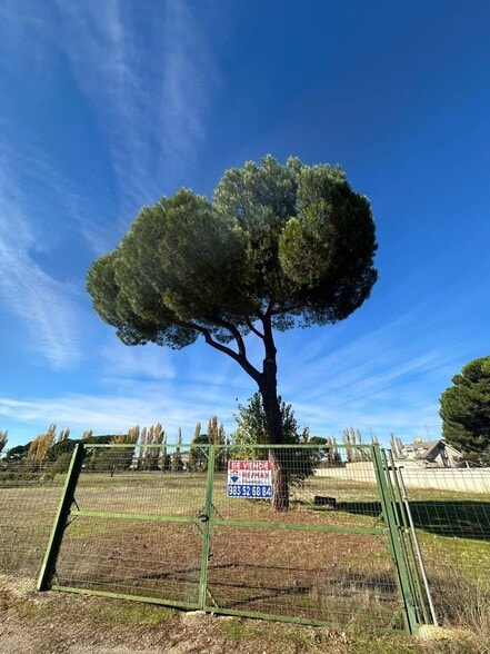 Calle Juan Ramón Jiménez, 19, Simancas, Valladolid en venta - Foto del edificio - Imagen 3 de 17