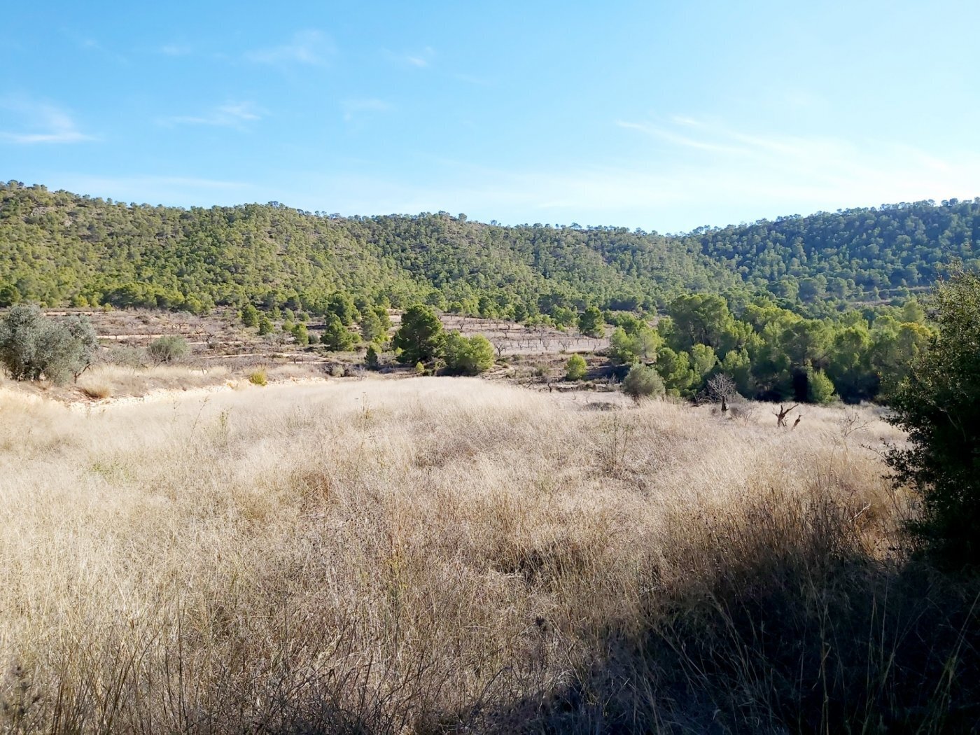 Terreno en La Romana, Alicante en venta Vista aérea- Imagen 1 de 4