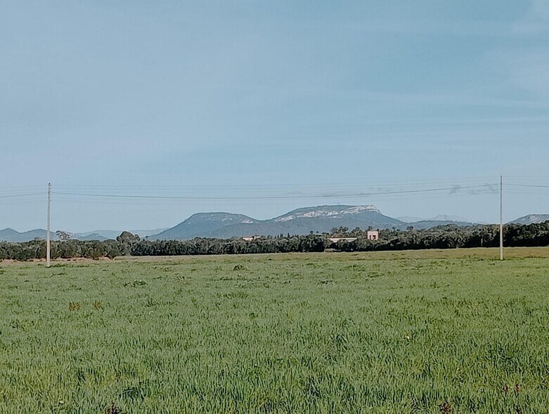 Terreno en Campos, Islas Baleares en venta - Foto del edificio - Imagen 2 de 11