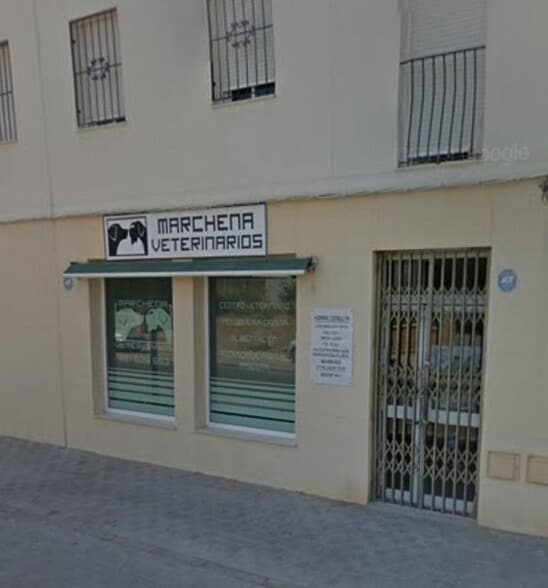 Local en Marchena, Sevilla en alquiler - Foto del edificio - Imagen 2 de 11