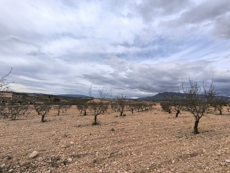 Terreno en Yecla, Murcia en venta - Vista aérea - Imagen 3 de 4