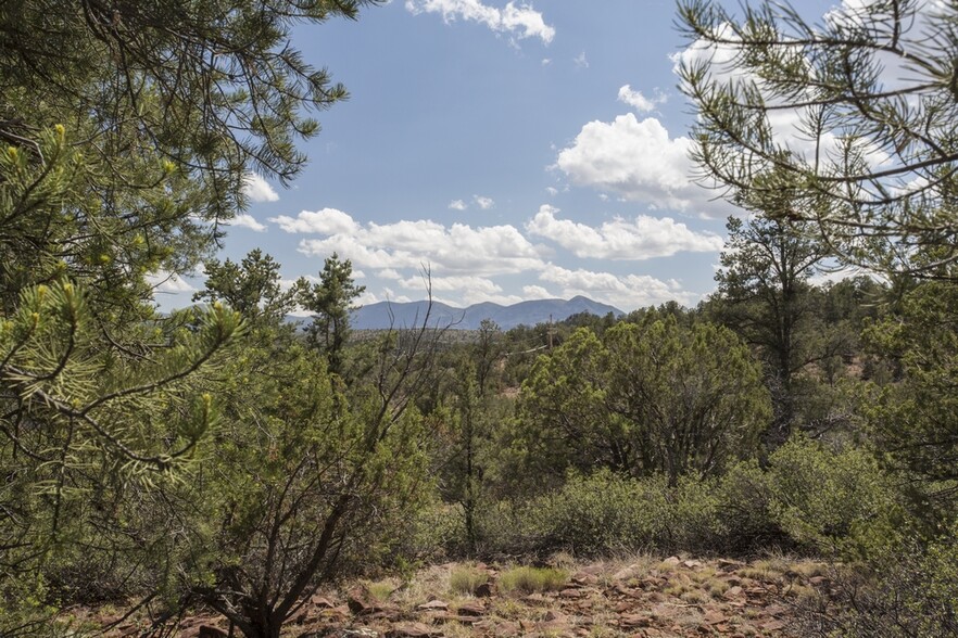 1200 Airport, Payson, AZ en venta - Otros - Imagen 1 de 39