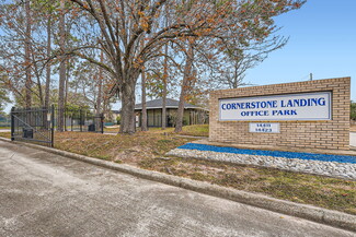 Más detalles para 14423 Cornerstone Village Dr, Houston, TX - Oficinas en venta