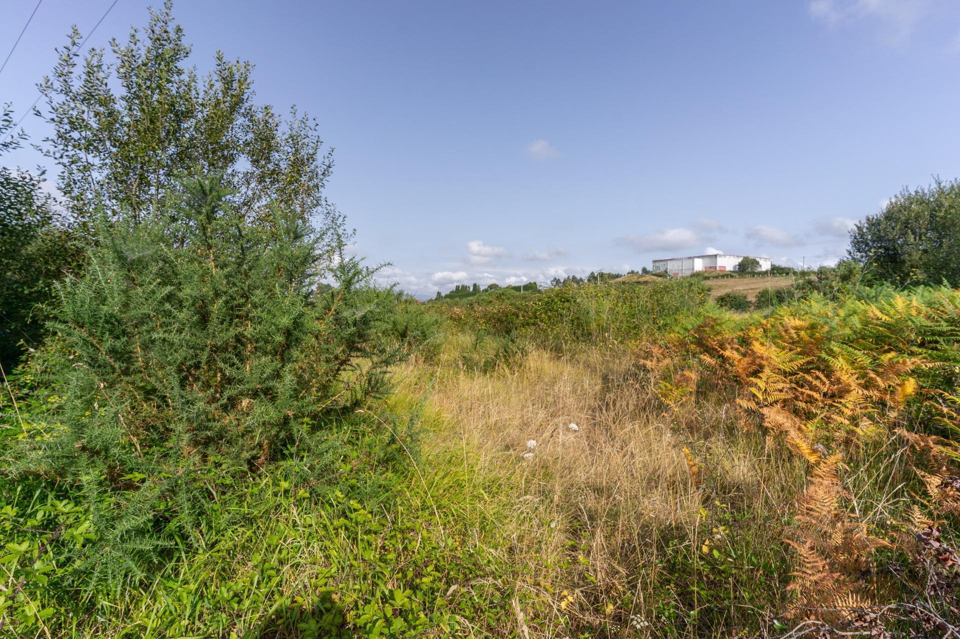 el, S/N, Siero, Asturias en venta Foto principal- Imagen 1 de 29