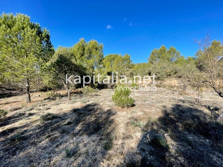 Terreno en Bocairent, Valencia en venta - Foto principal - Imagen 1 de 5