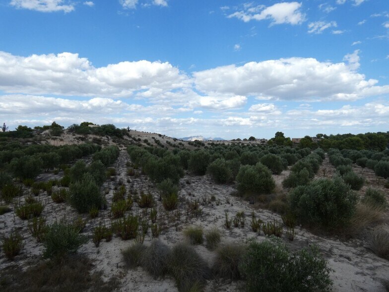 Terreno en Molina de Segura en venta - Vista aérea - Imagen 2 de 12