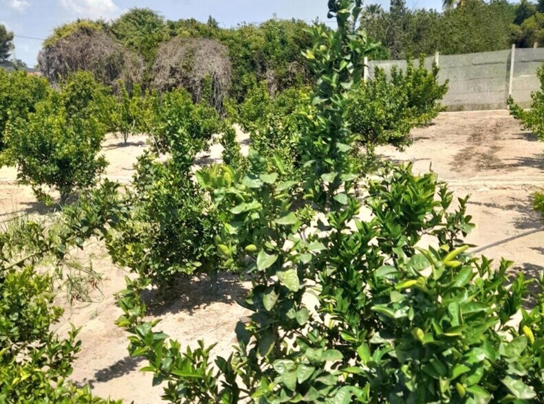 Terreno en València en venta - Foto del edificio - Imagen 3 de 8