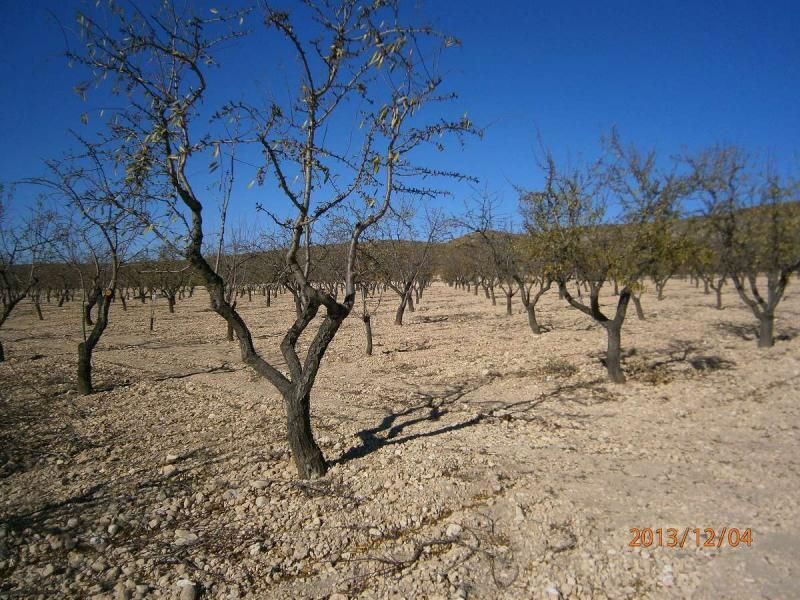 Terreno en MURCIA en venta Foto principal- Imagen 1 de 7