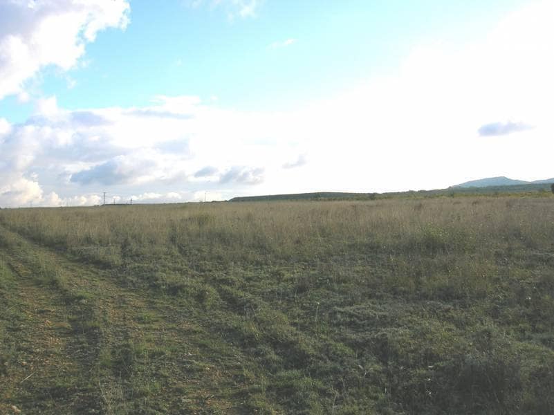 Terreno en Yecla, Murcia en venta Foto del edificio- Imagen 1 de 2