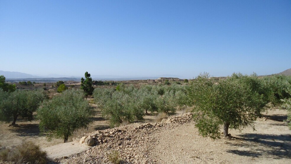 Terreno en Abanilla en venta - Foto del edificio - Imagen 3 de 18