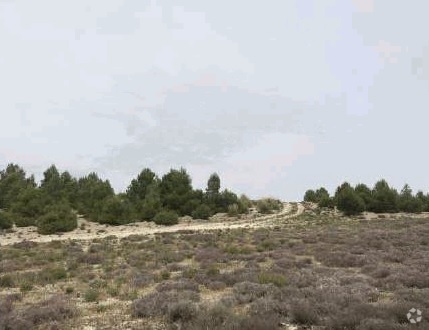 Terrenos en Zarza de Tajo, Cuenca en venta - Foto del edificio - Imagen 3 de 4