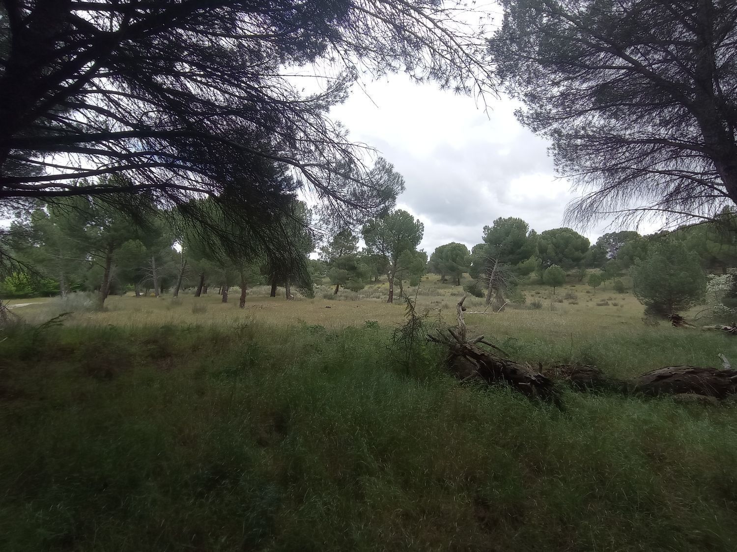 de Martacha Poligono, 502, Matapozuelos, Valladolid en venta Foto principal- Imagen 1 de 24