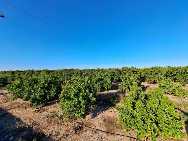 Más detalles de Terreno en venta