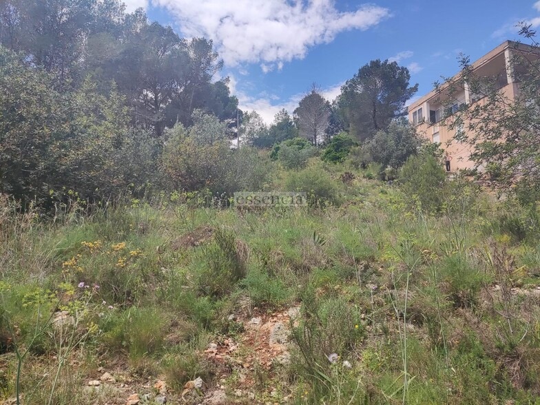 Terreno en València, Valencia en venta - Foto principal - Imagen 3 de 12