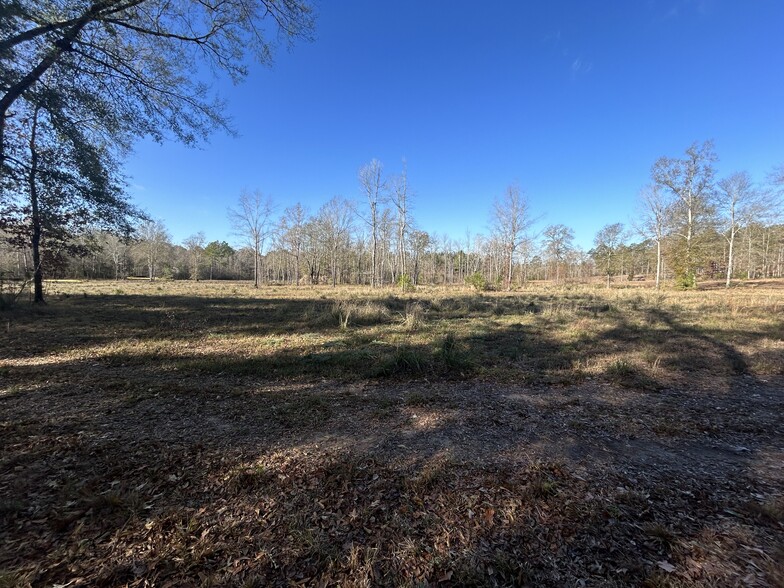 Boy Scout Rd - Section 1, Forest Hill, LA en venta - Otros - Imagen 2 de 3