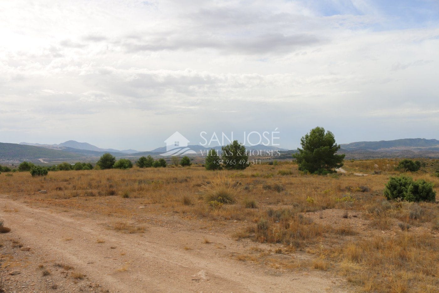 Terreno en Jumilla, Murcia en venta Foto principal- Imagen 1 de 19