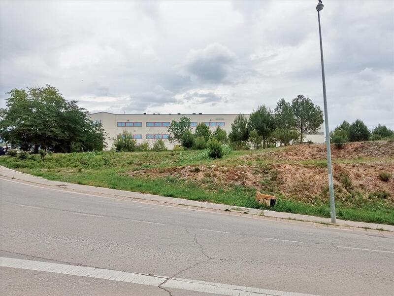 Plaça la Llana, 1, Rubí, Barcelona en venta Plano de la planta- Imagen 1 de 4