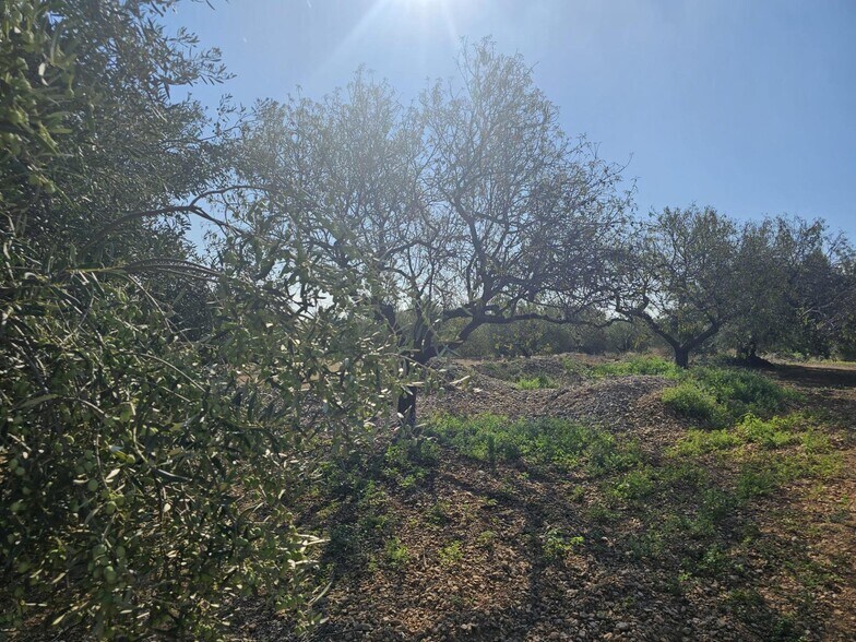 Terreno en LA RÀPITA, Tarragona en venta - Foto del edificio - Imagen 2 de 4