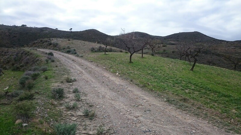 Terreno en Cantoria en venta - Foto del edificio - Imagen 3 de 3