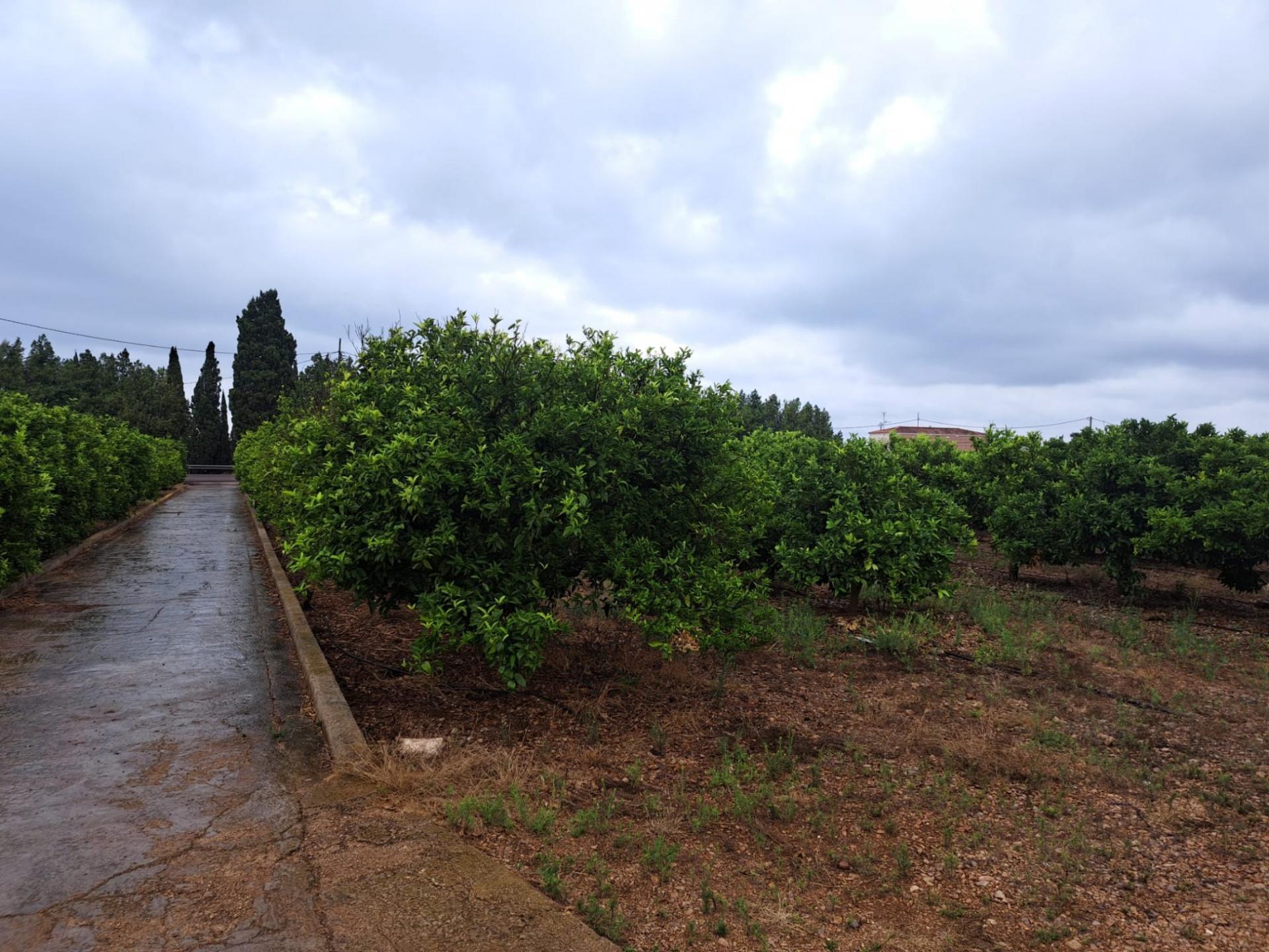 Carrer Devesa A, Vinaros, Costa Norte, 4, Vinaròs, Castellón en venta Foto del edificio- Imagen 1 de 6