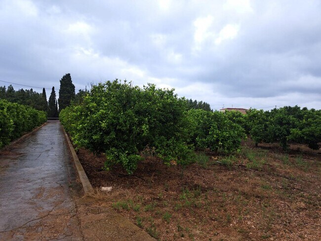 Más detalles de Carrer Devesa A, Vinaros, Costa Norte, 4, Vinaròs - Terreno en venta