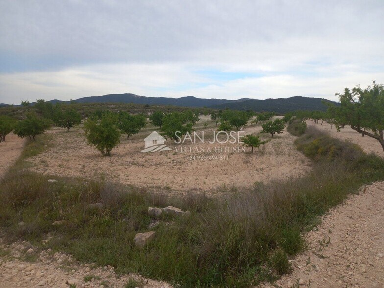 Terreno en El Pinós en venta - Foto del edificio - Imagen 3 de 50