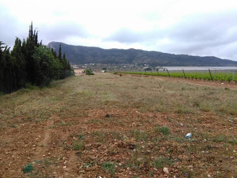 Terreno en La Romana en venta Foto del edificio- Imagen 1 de 3