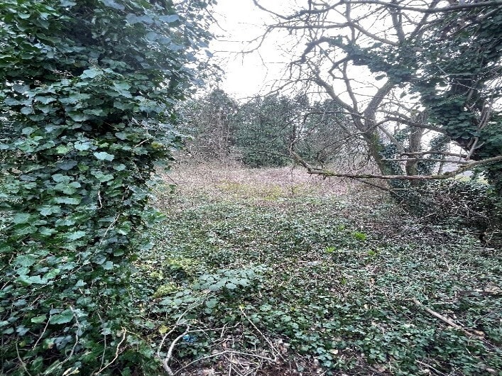 Main St, Sauchie en venta - Foto del edificio - Imagen 3 de 6