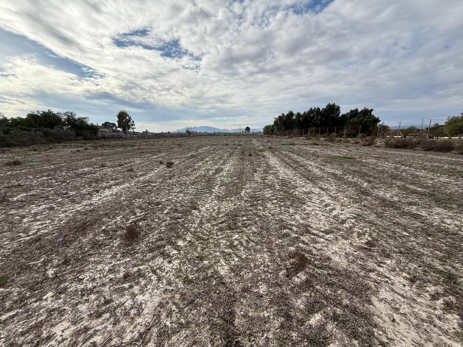 Terreno en Lorca en venta Plano del sitio- Imagen 1 de 5
