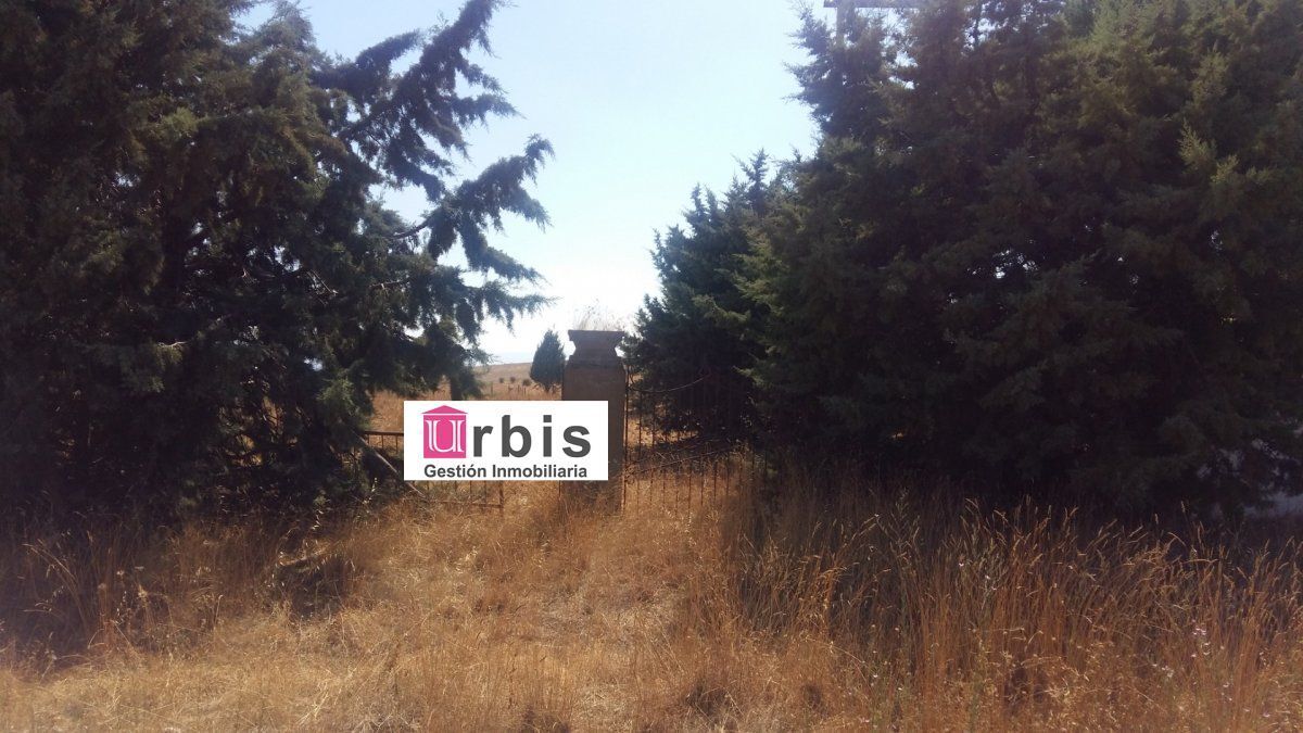 Terreno en Buenavista en venta Foto del edificio- Imagen 1 de 4