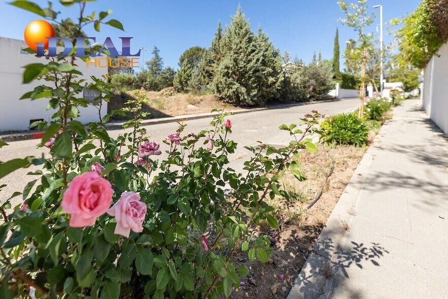 Terreno en Albolote, Granada en venta - Foto del edificio - Imagen 2 de 31