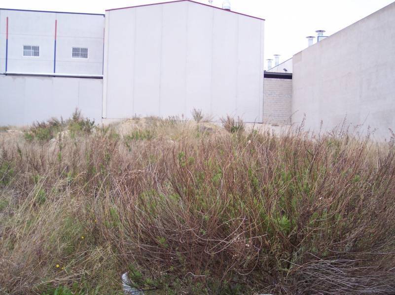 Terreno en Aspe, Alicante en venta Foto del edificio- Imagen 1 de 4