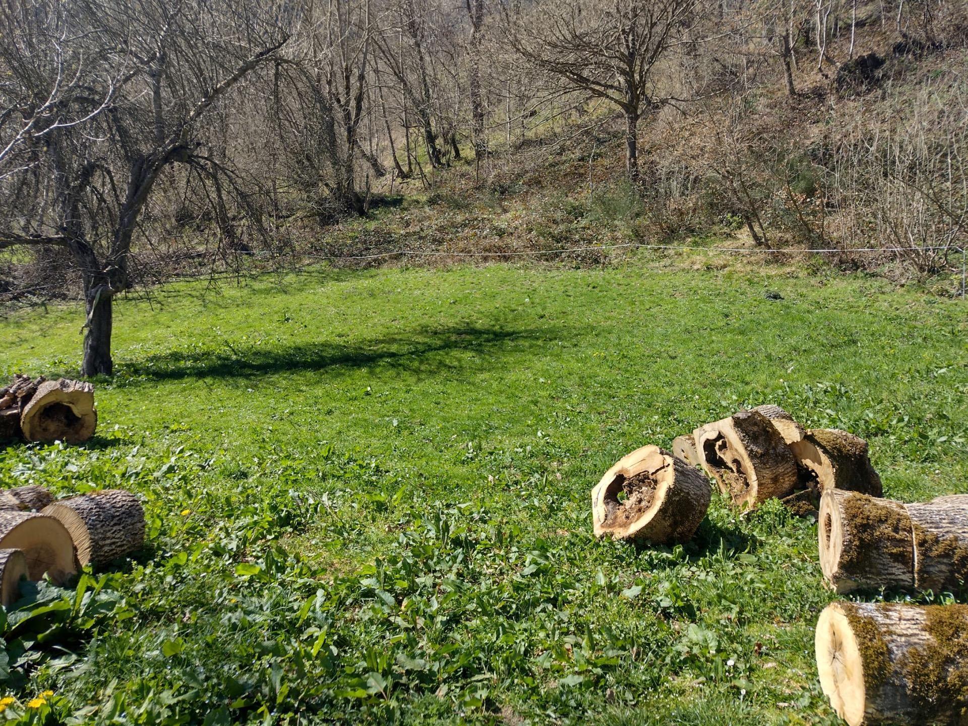 Terreno en Vega de Liébana, Cantabria en venta Foto del edificio- Imagen 1 de 10