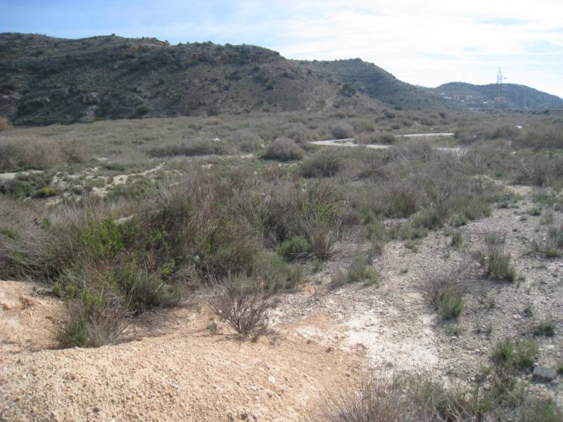 Terreno en Aspe, Alicante en venta Plano del sitio- Imagen 1 de 8