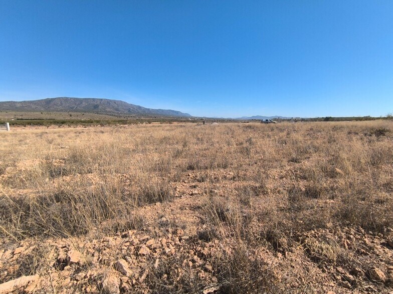 Terreno en PINOSO en venta - Foto del edificio - Imagen 3 de 8