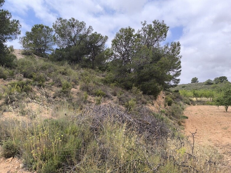 Terreno en PINOSO, Alicante en venta - Vista aérea - Imagen 2 de 12