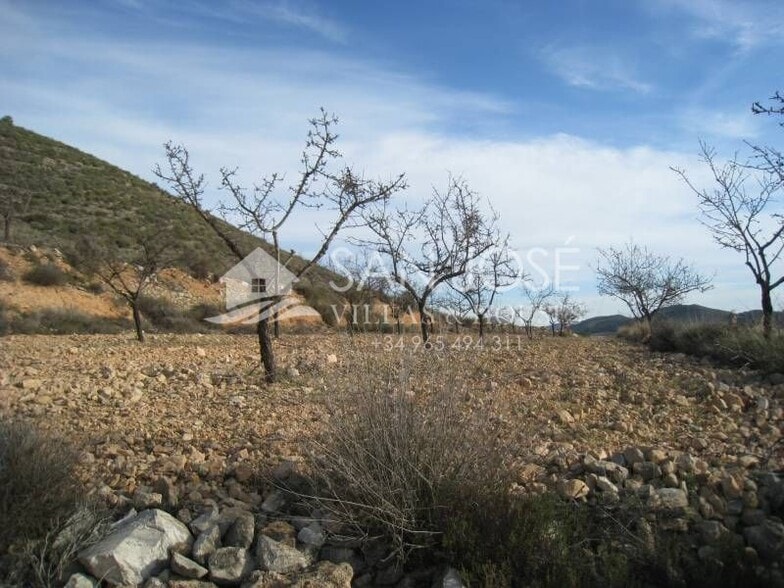 Terreno en HONDÓN DE LAS NIEVES en venta - Vista aérea - Imagen 3 de 5