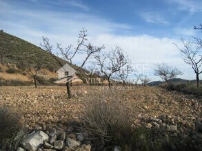 HONDÓN DE LAS NIEVES - AÉREA  vista de mapa - Image1