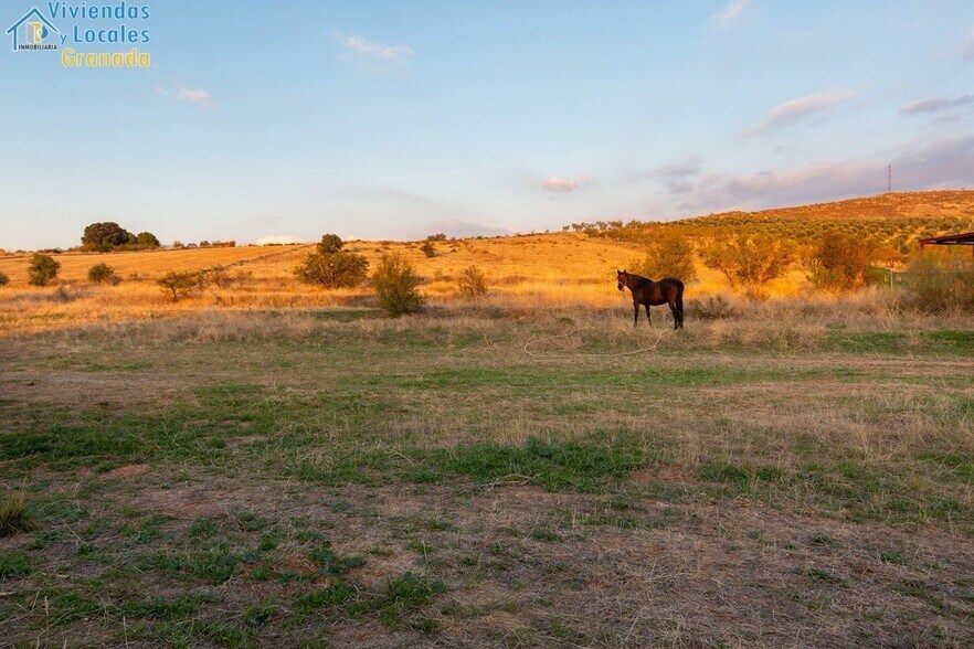 Camino la Zapatera, Gójar, Granada en venta - Foto del edificio - Imagen 3 de 15