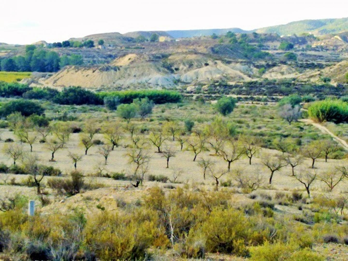 Terreno en Murcia, Murcia en venta Vista aérea- Imagen 1 de 9